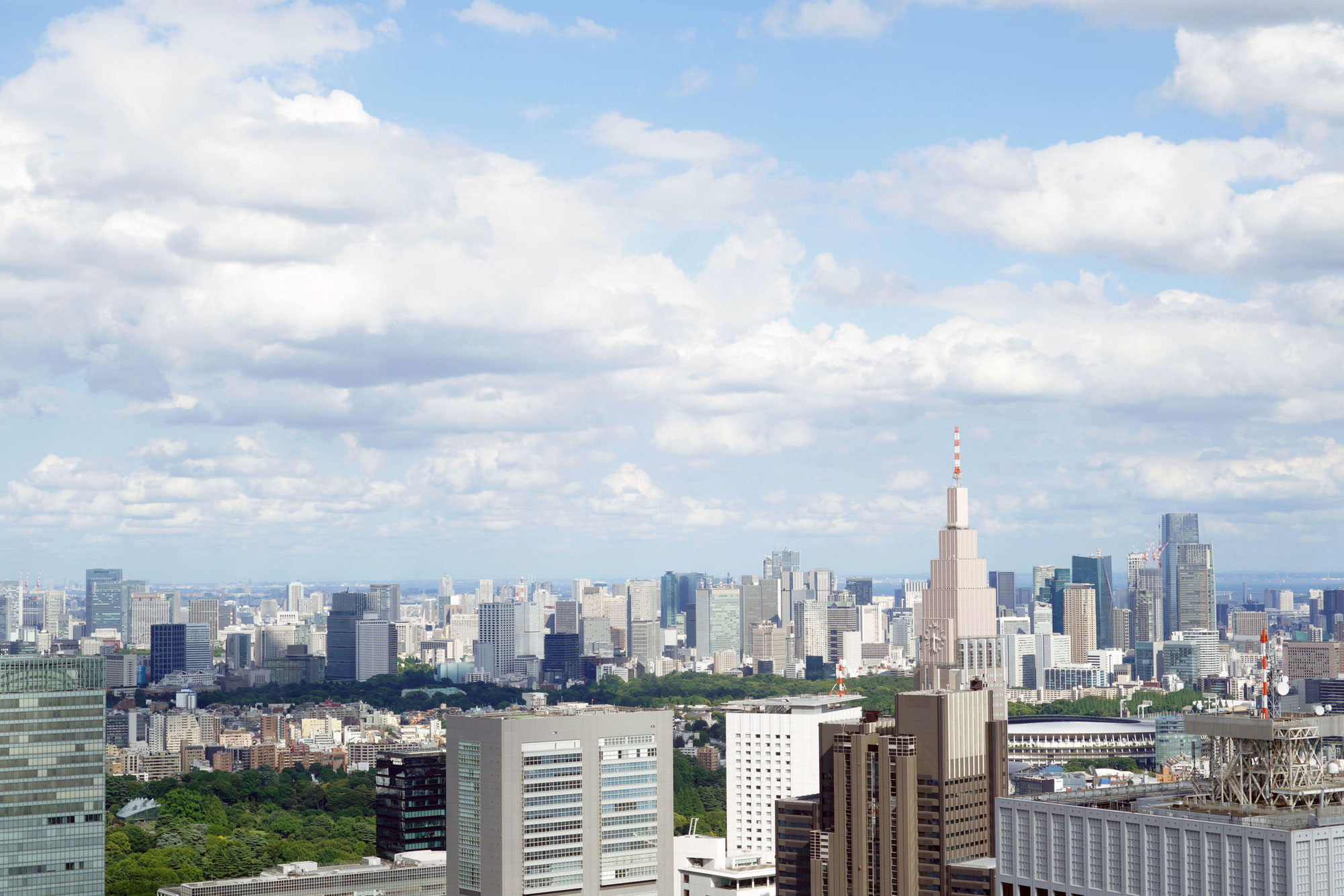 出生率が1.2になったそうです。