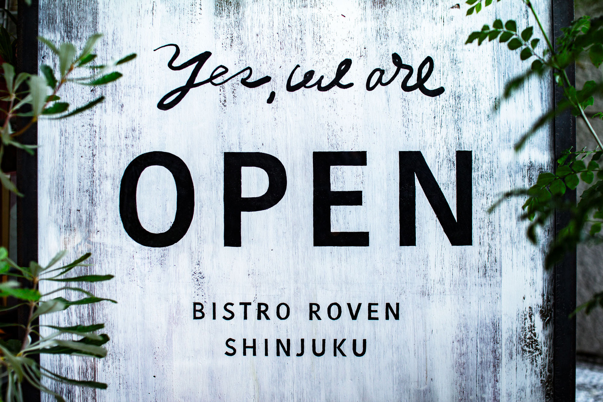 Bistro Roven 新宿 12月10日（金）OPEN！