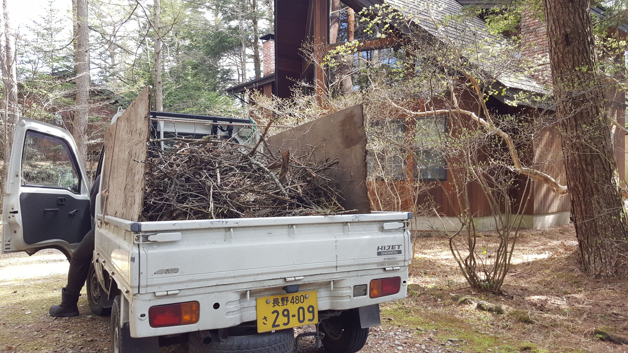 春の落ち枝処分、庭掃除