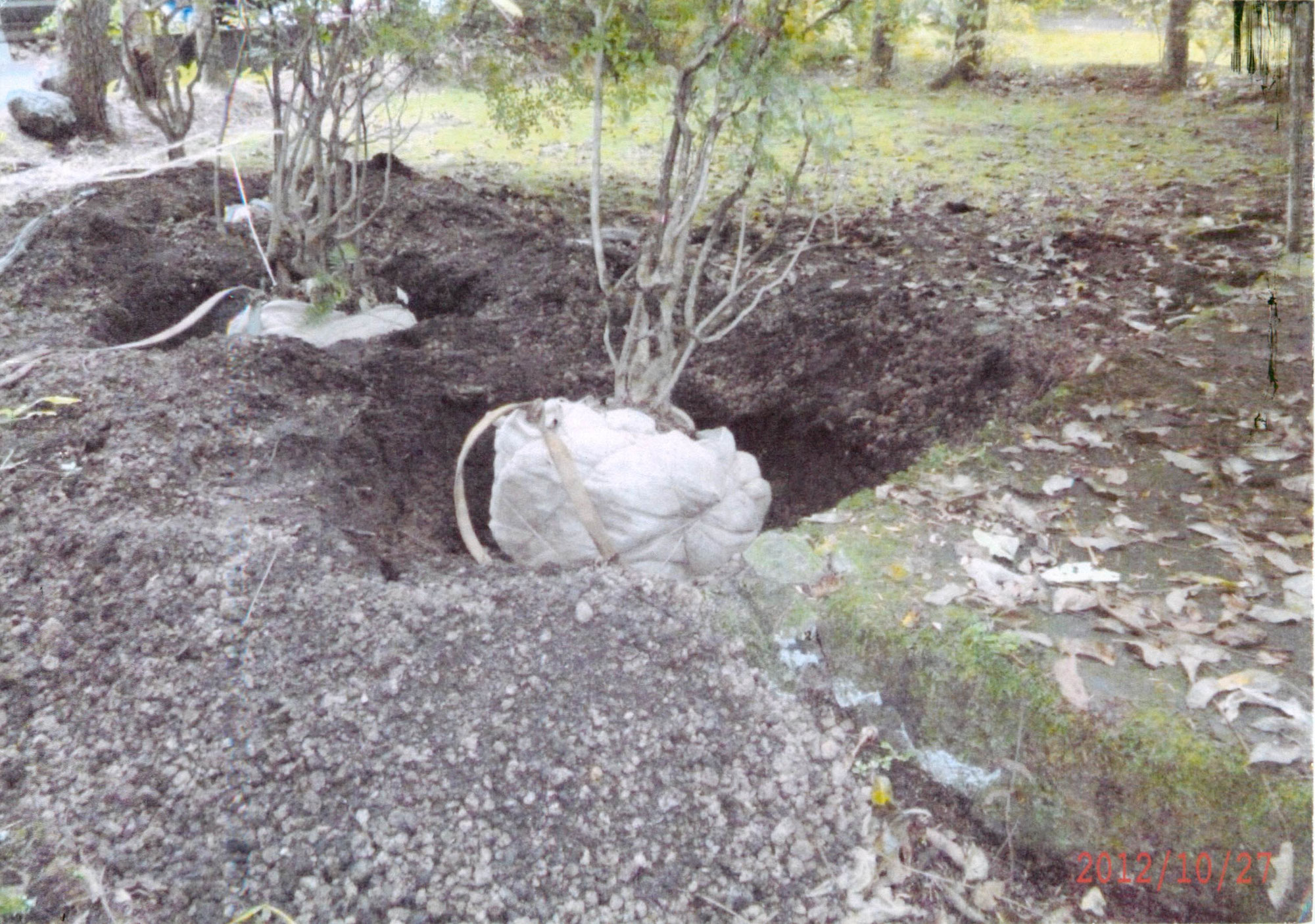 軽井沢町　植栽工事