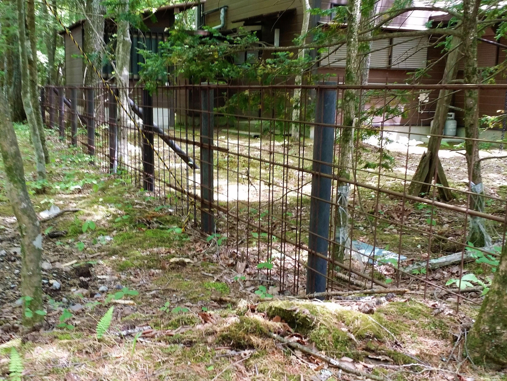 軽井沢町　旧軽井沢　イノシシ（猪）対策フェンス