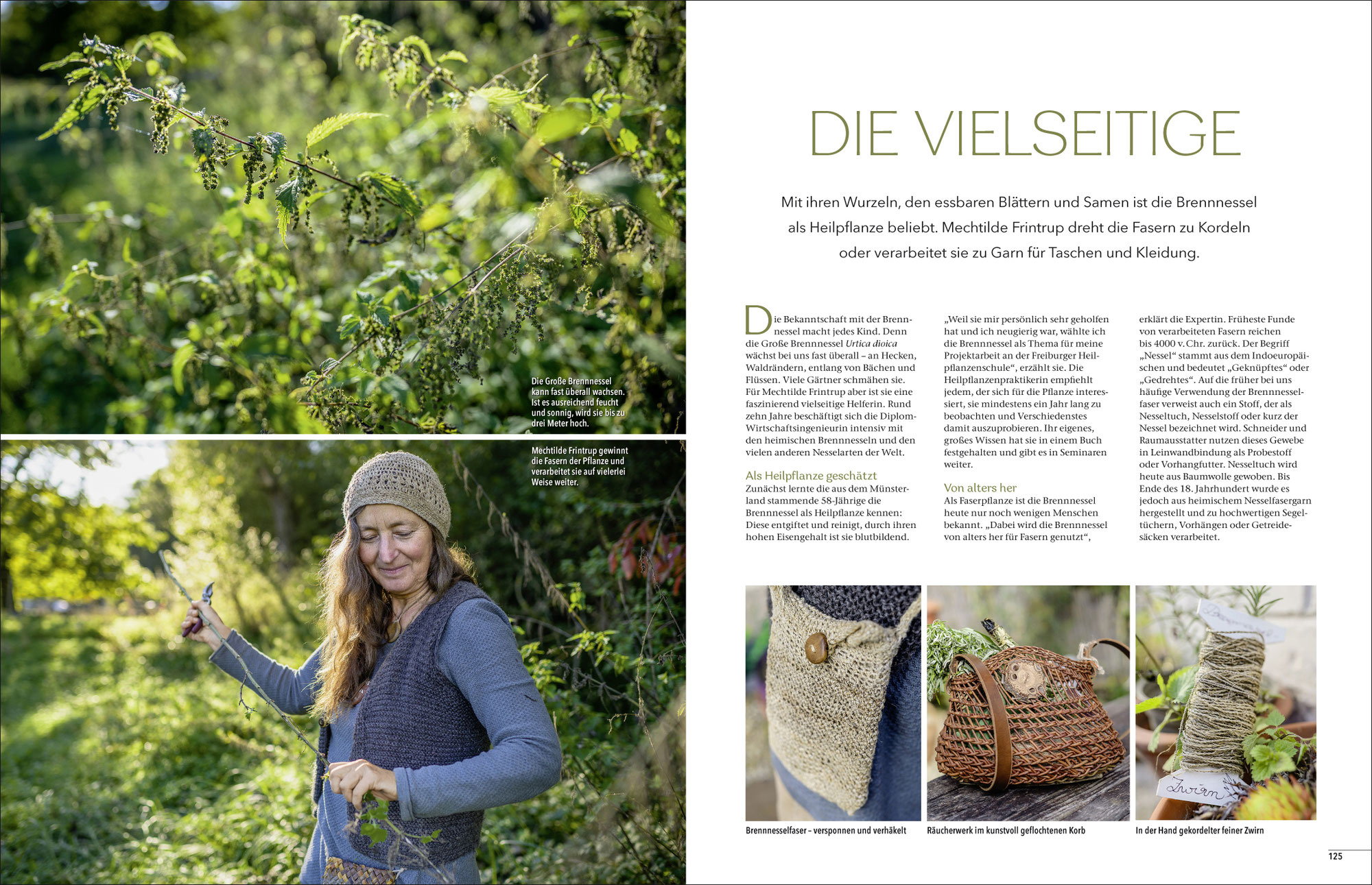 Brennnessel in der Landlust