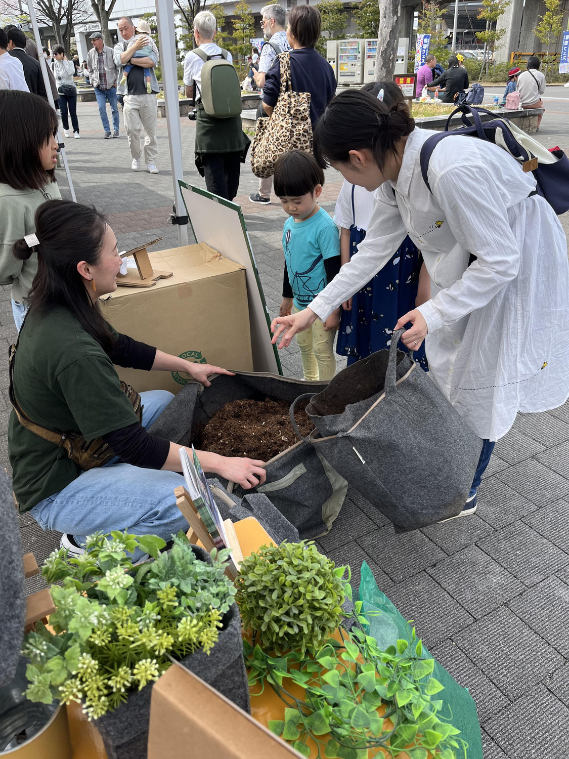 循環フェス×LFCコンポスト　2024.11.3(日)