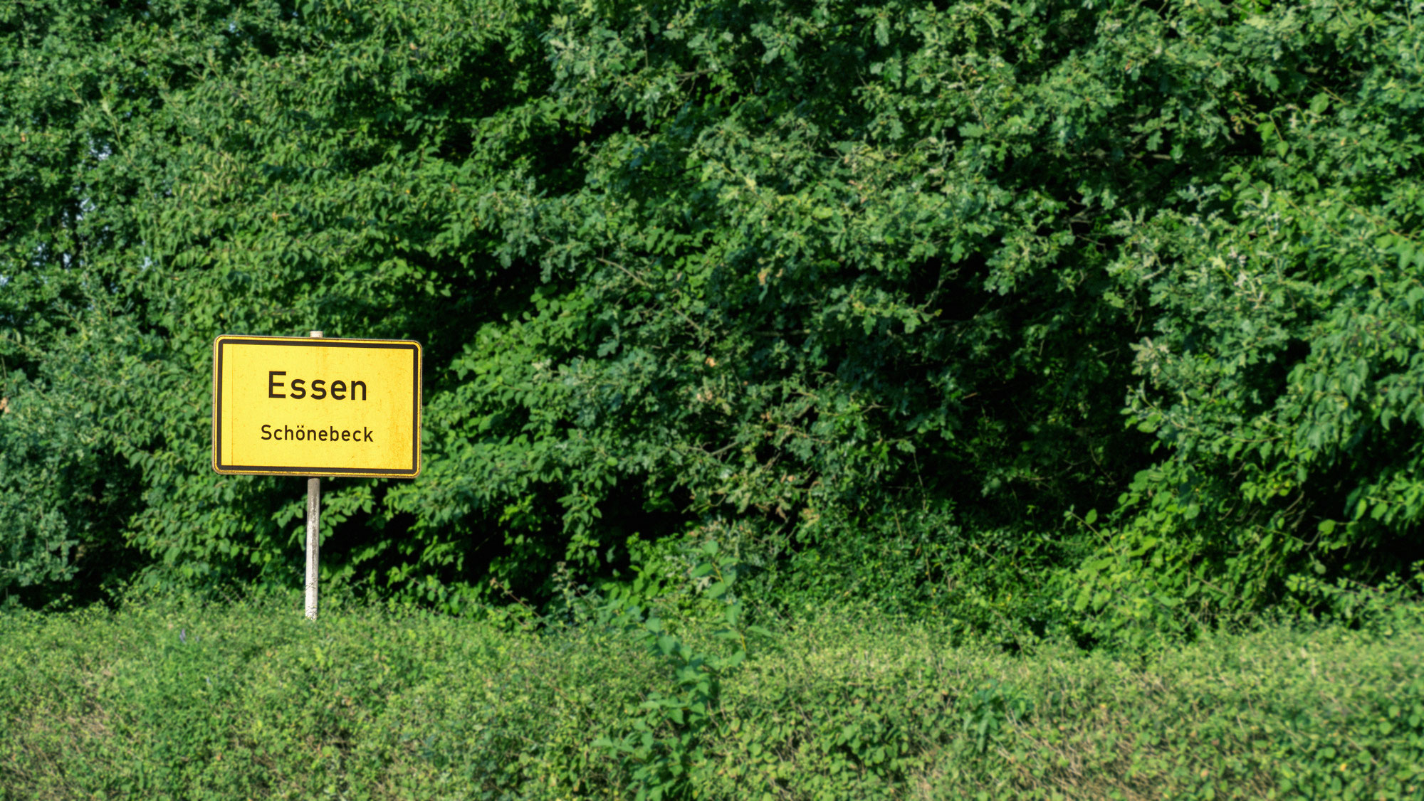 Impressum - Schönebeck - Der Film