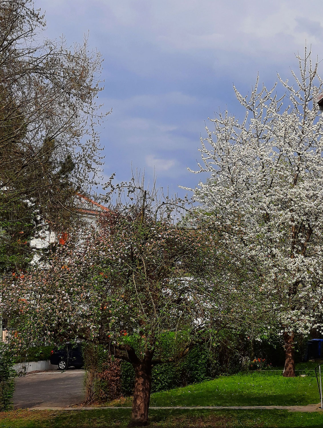 Zwischen Frust und Hoffnung