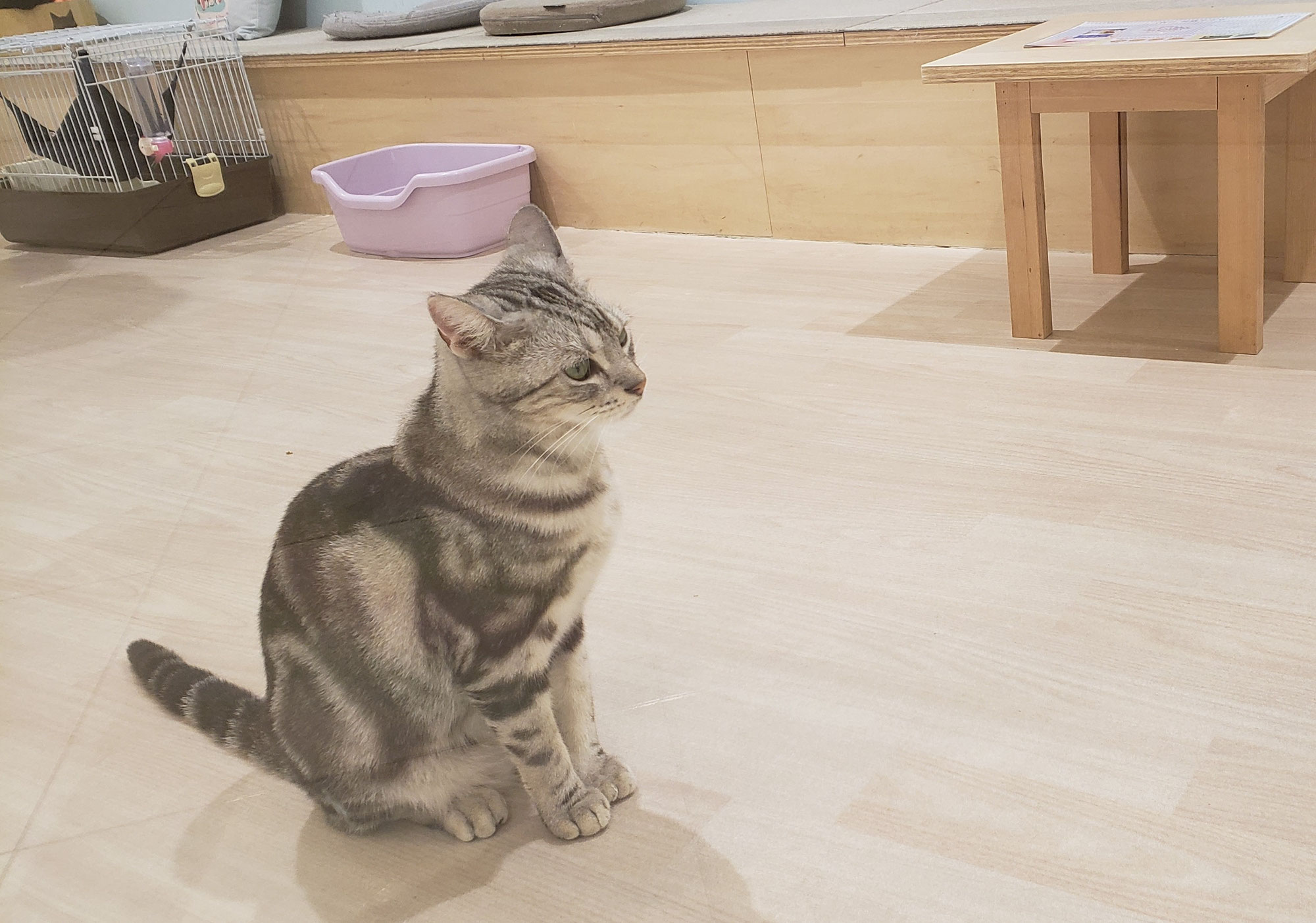 ひとりぼっちでは辛くなる