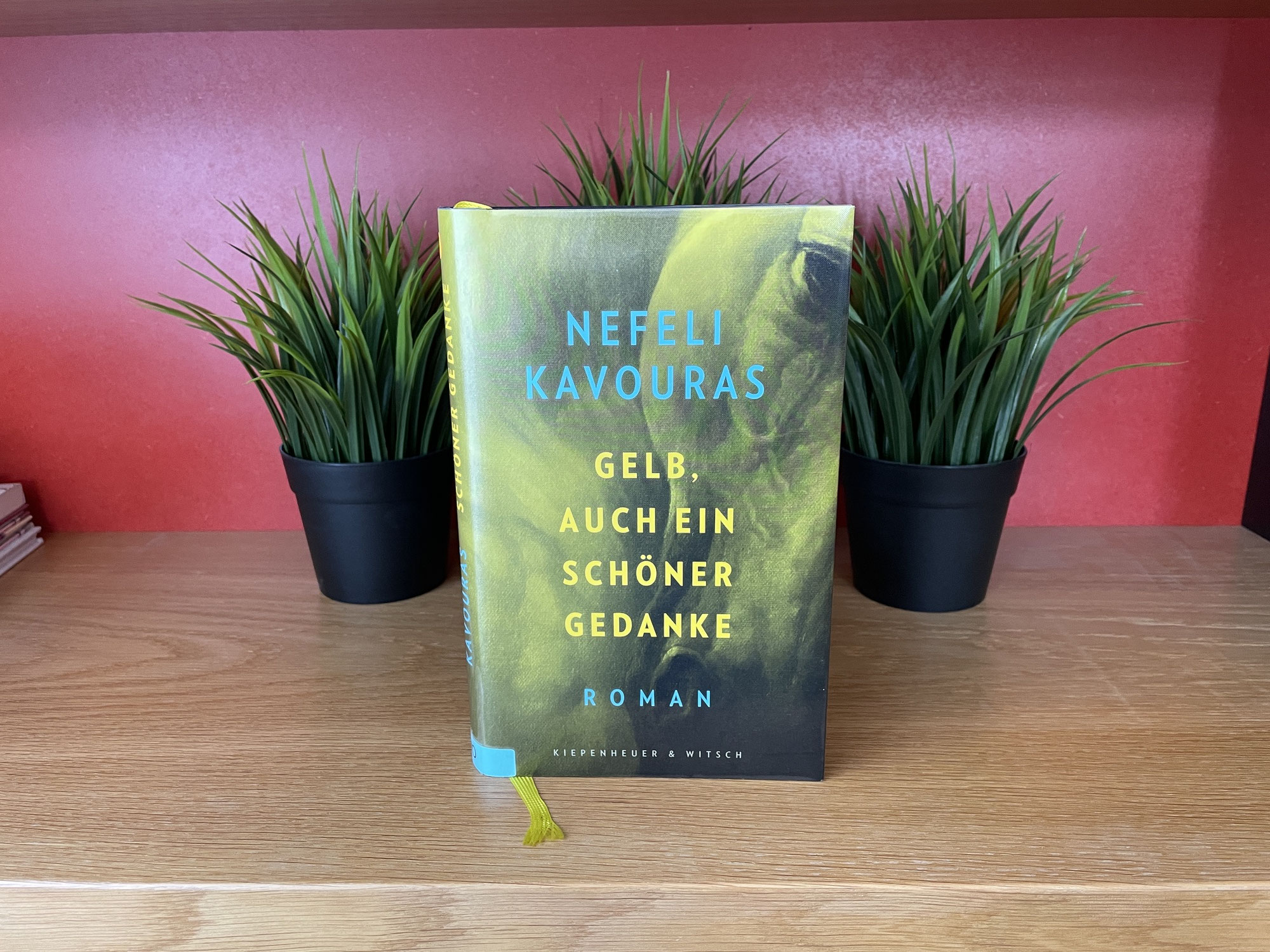 Nefeli Kavouras : Gelb, auch ein schöner Gedanke (Kiepenheuer & Witsch, 2026)
