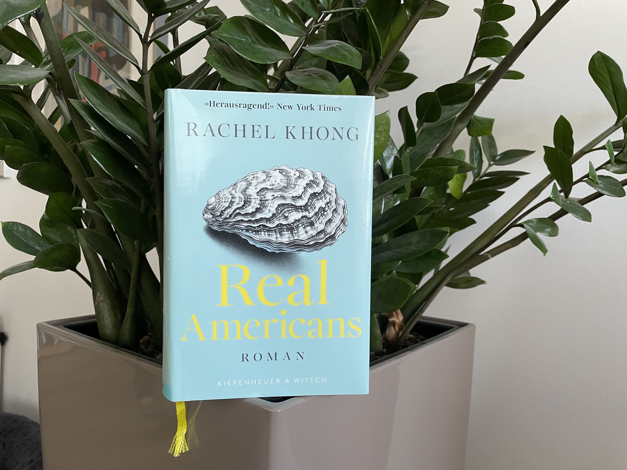 Rachel Khong: Real Americans (Kiepenheuer & Witsch, 2026)