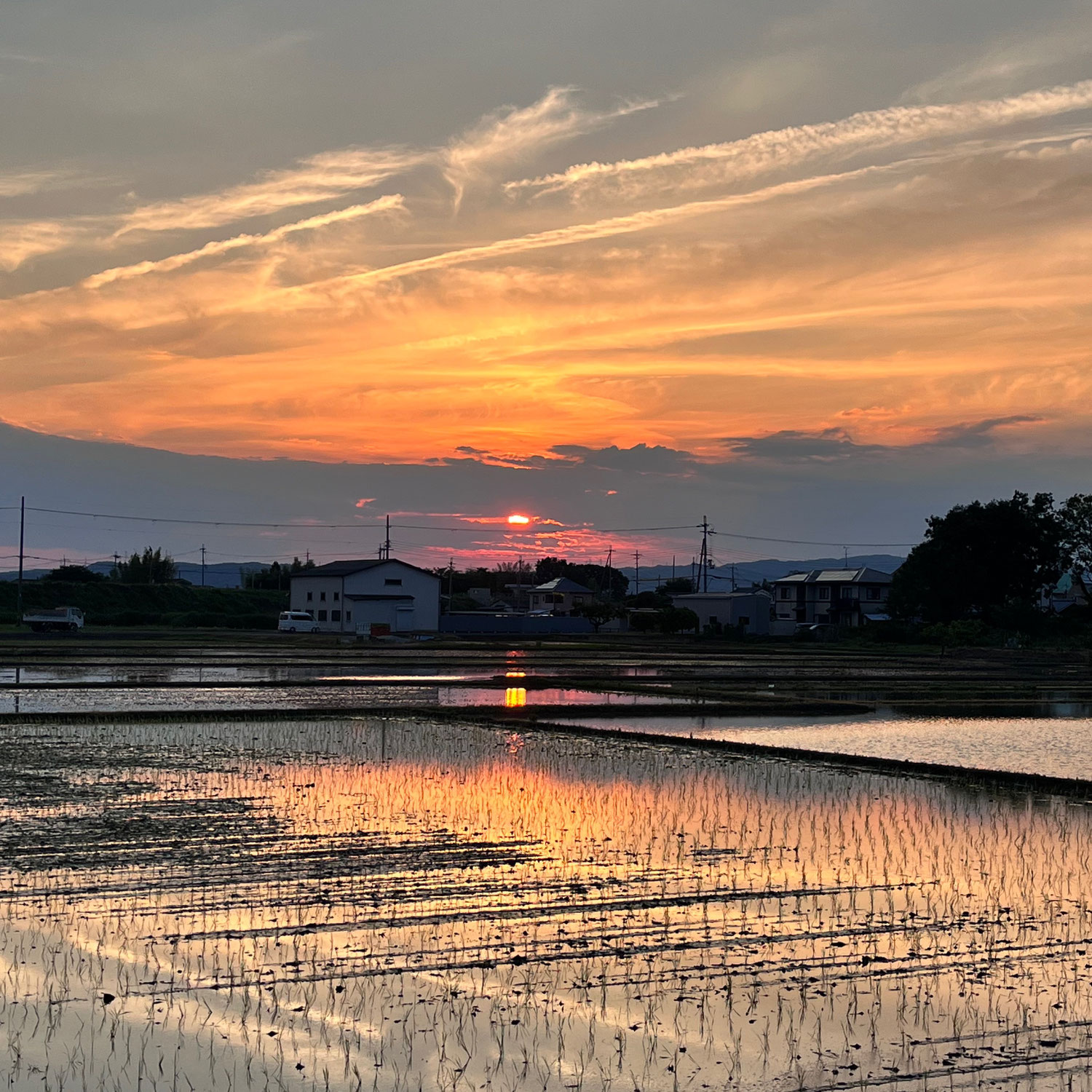 和と循環は、神様の計らいの中で育っていく