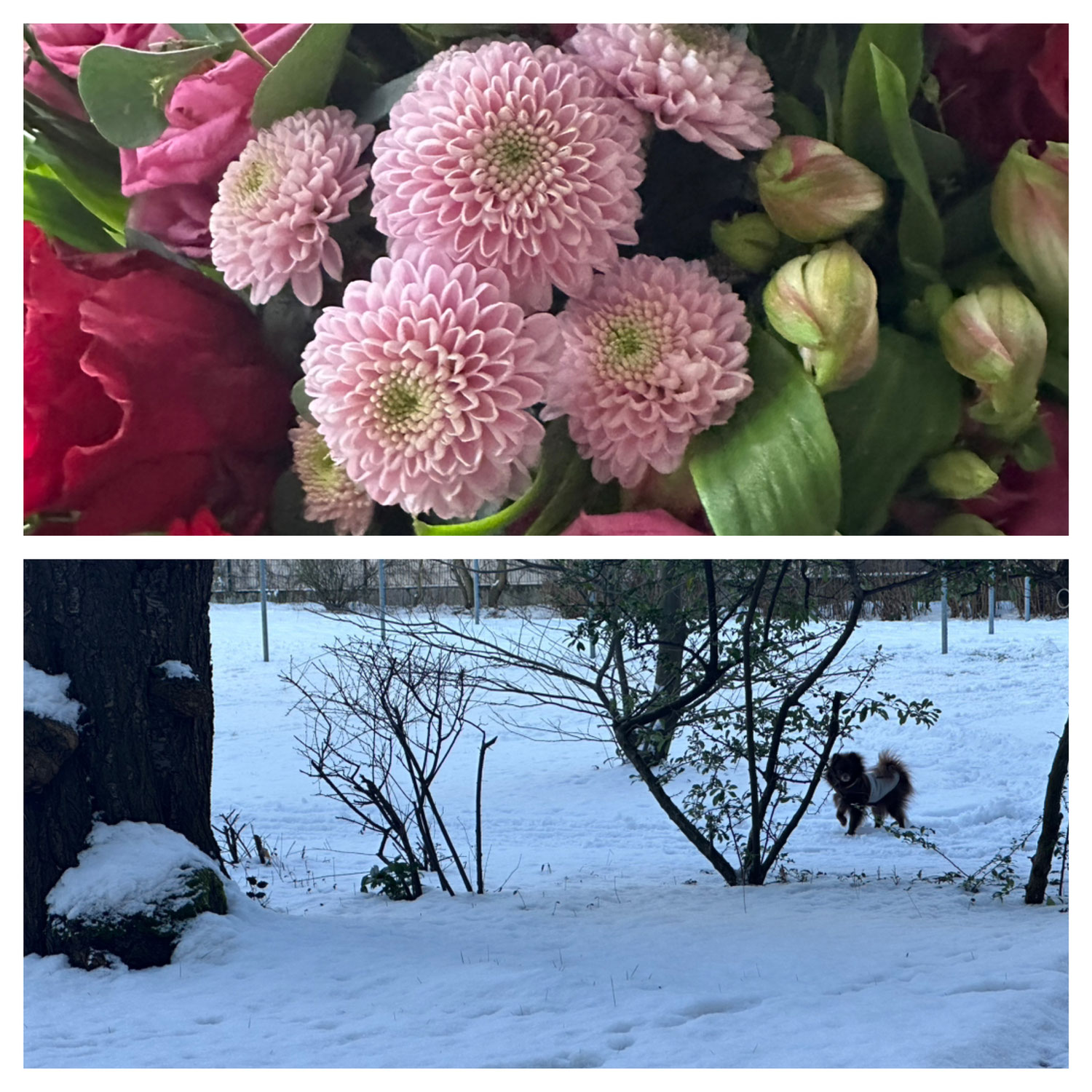 Februar
