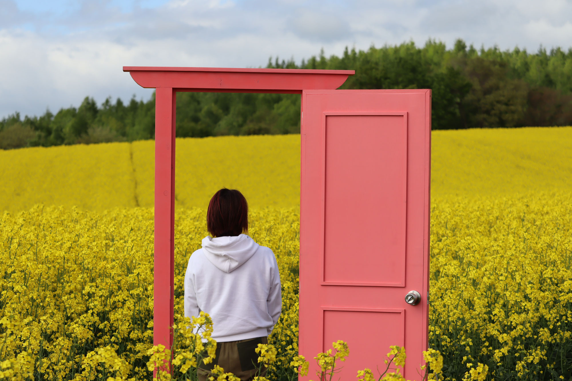 菜の花畑から