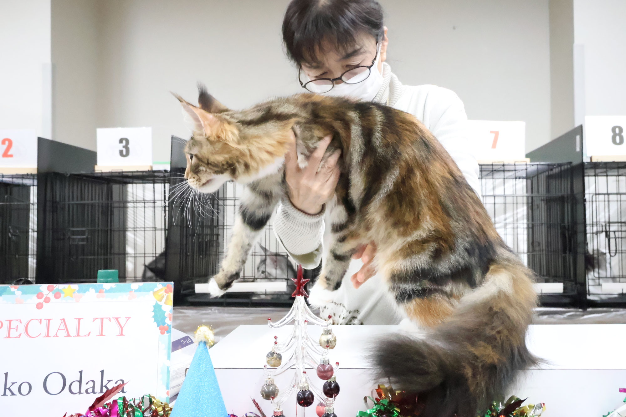 ECCキャットショーに行きました