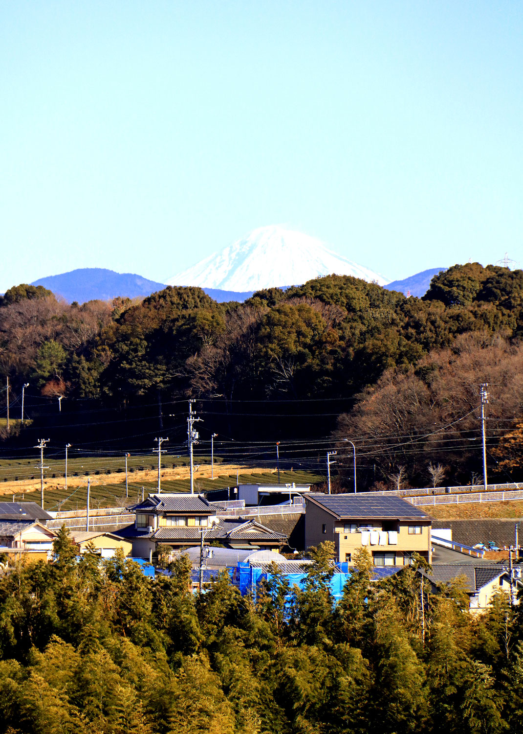 これぞ「見付富士」