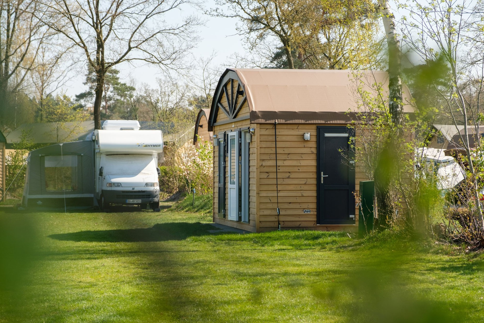 Hondvriendelijke camping