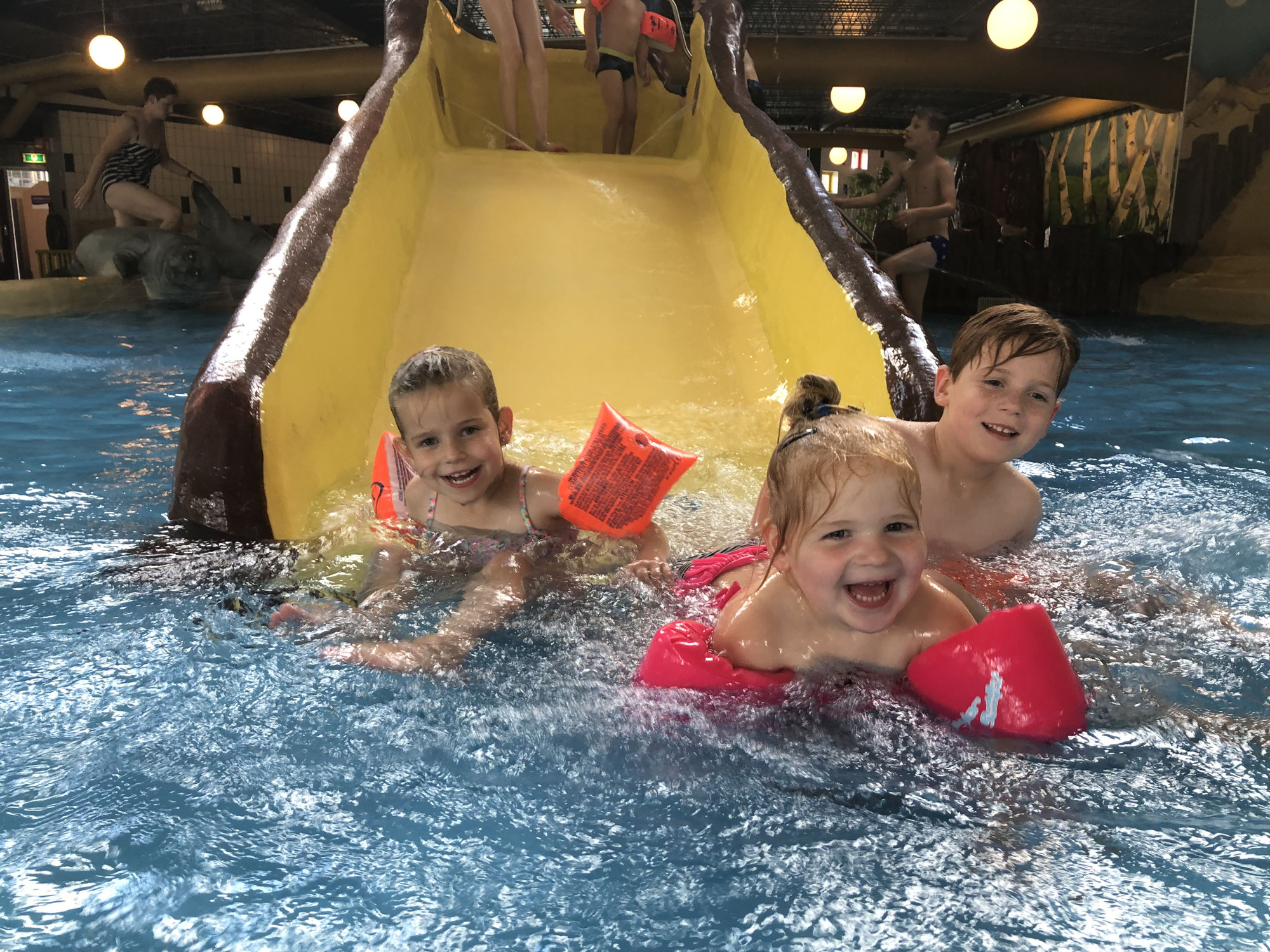 Vijf sterren camping Nederland
