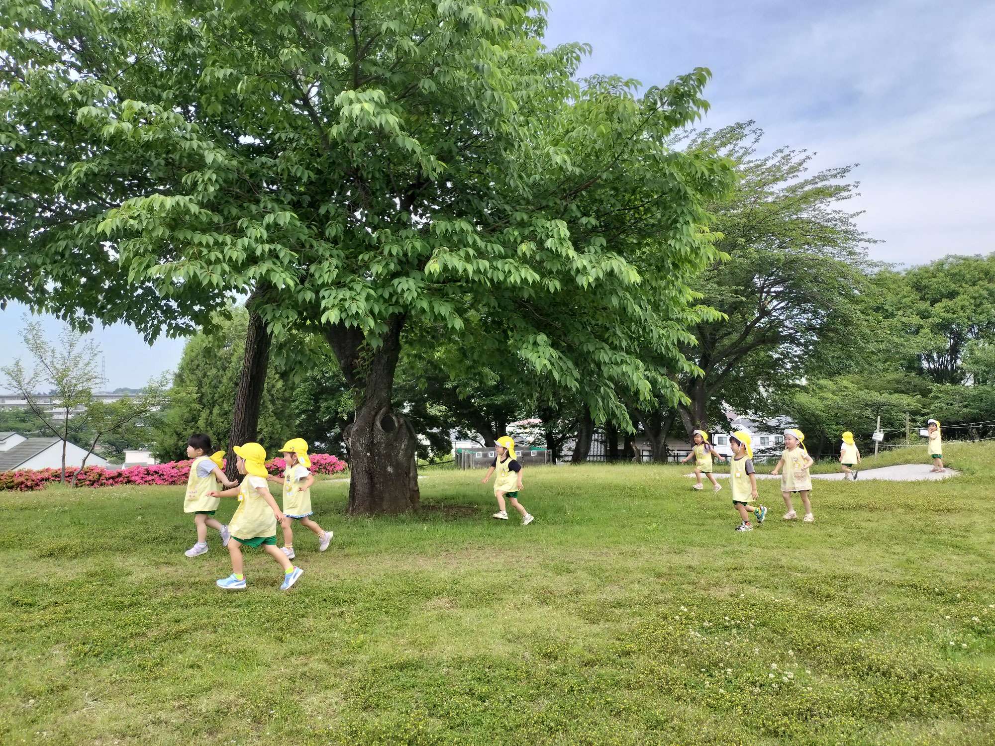 ６月の親子で遊ぼう・R７見学会