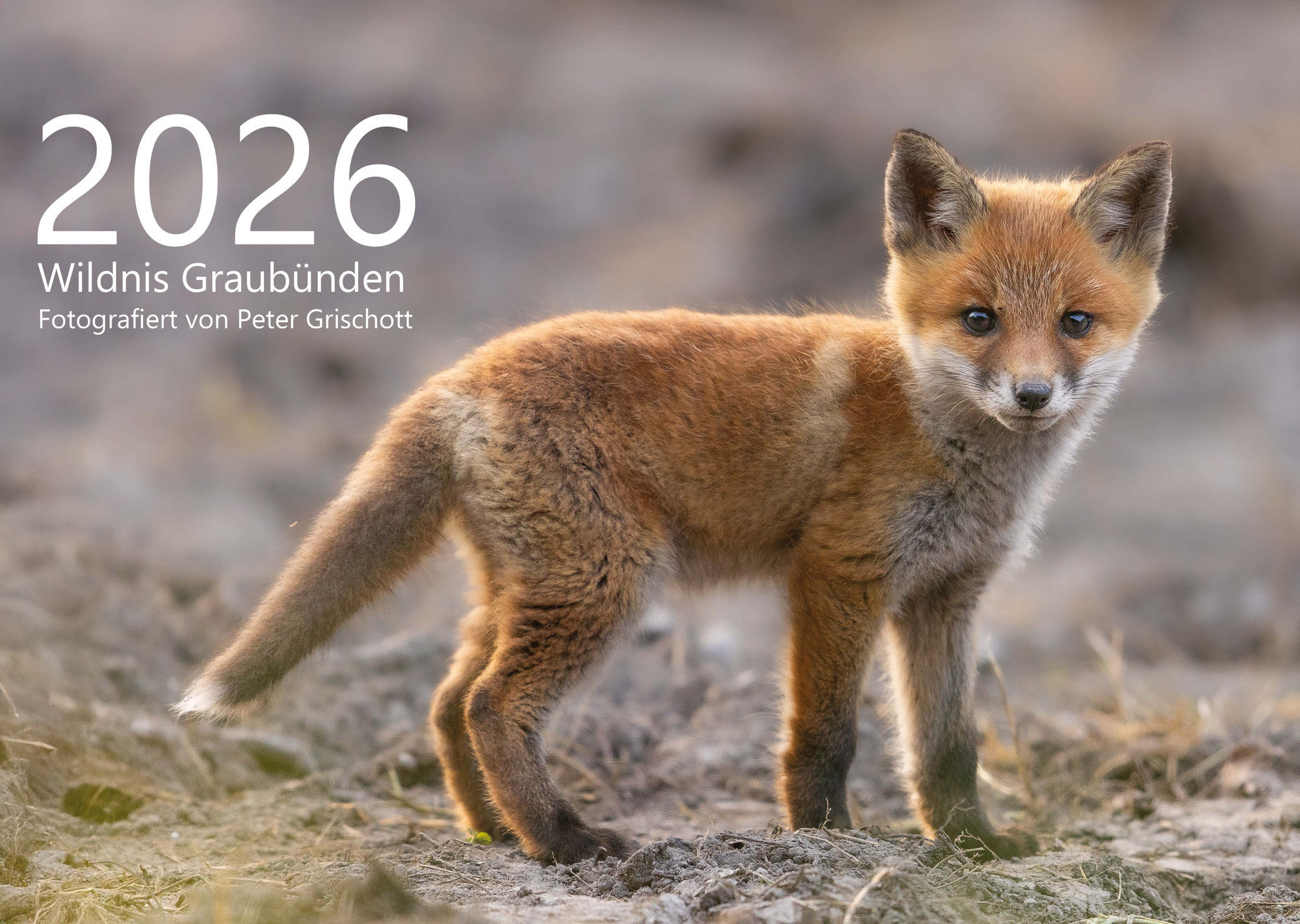 Der neue Kalender für 2026