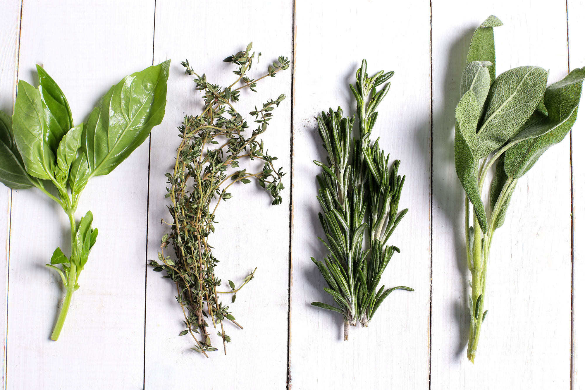 Les herbes aromatiques : comment les cuisiner, idées recettes