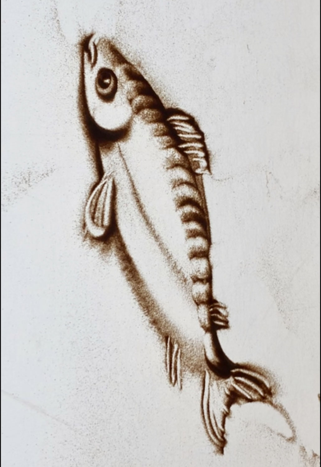 魚の描き方"リクエストサンドアート”