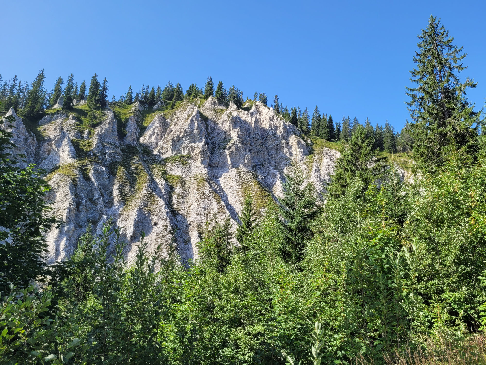 Les pyramides de gypse d'Ollon : un chef-d'œuvre géologique en milieu préalpin