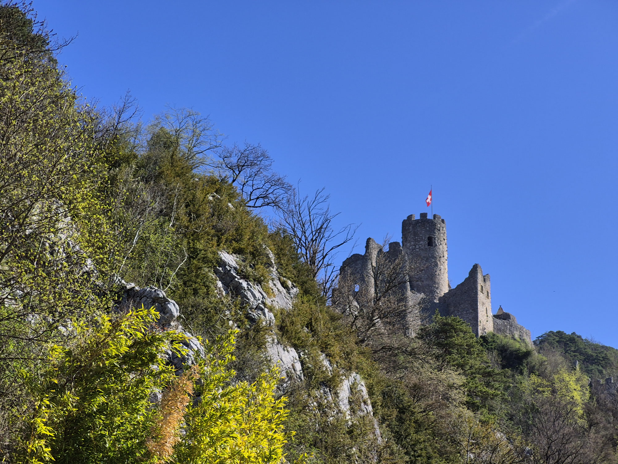 Ruine de Neu-Falkenstein : une forteresse brisée défie toujours le Thal