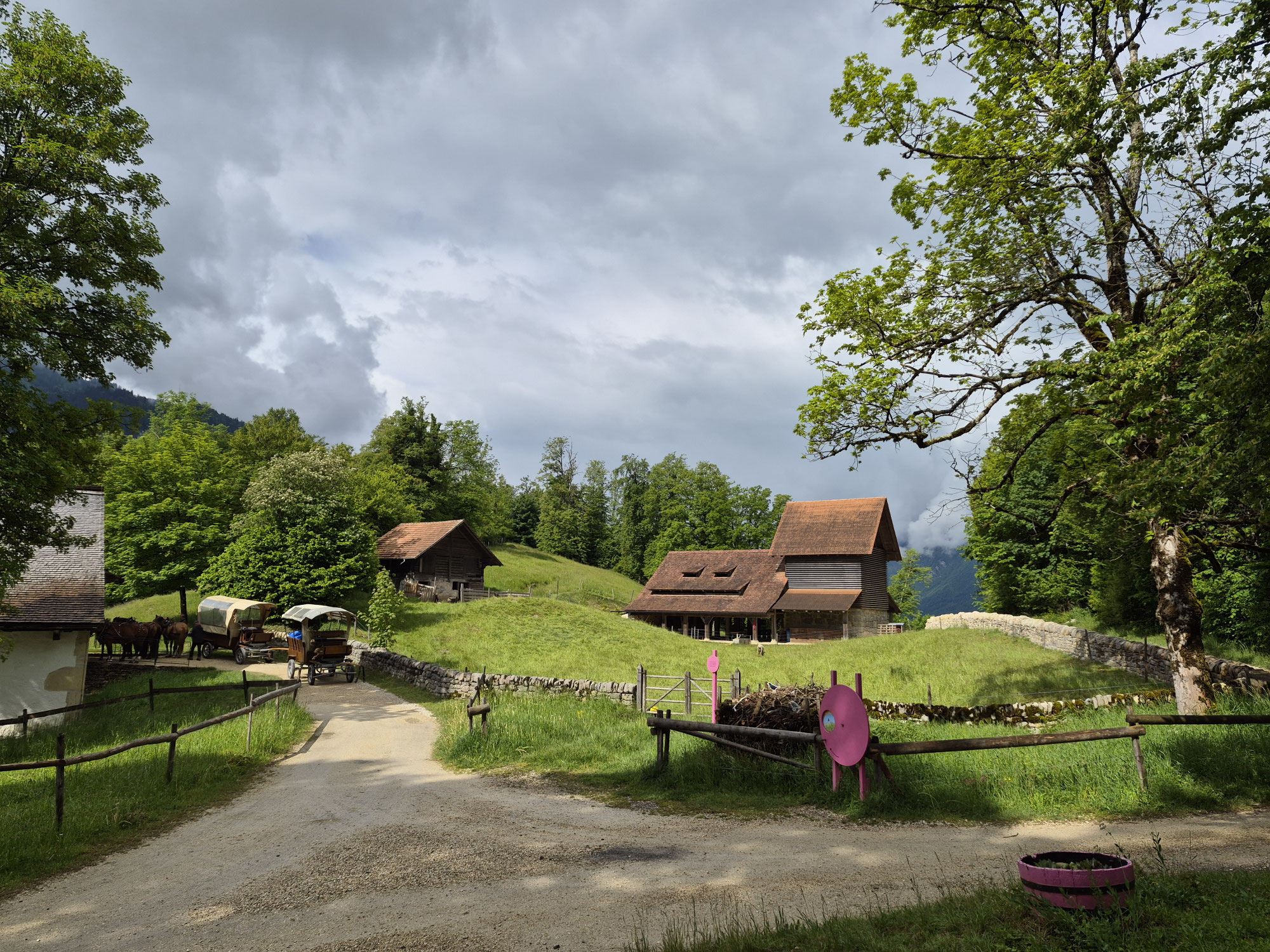 Musée de l'habitat rural Ballenberg : la Suisse agricole au fil des siècles et à travers champs