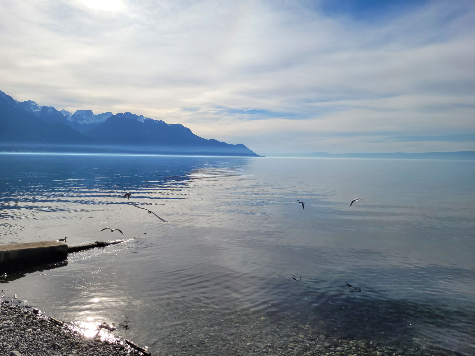 Dilemme d'Histoire : faut-il dire Léman ou lac de Genève ?