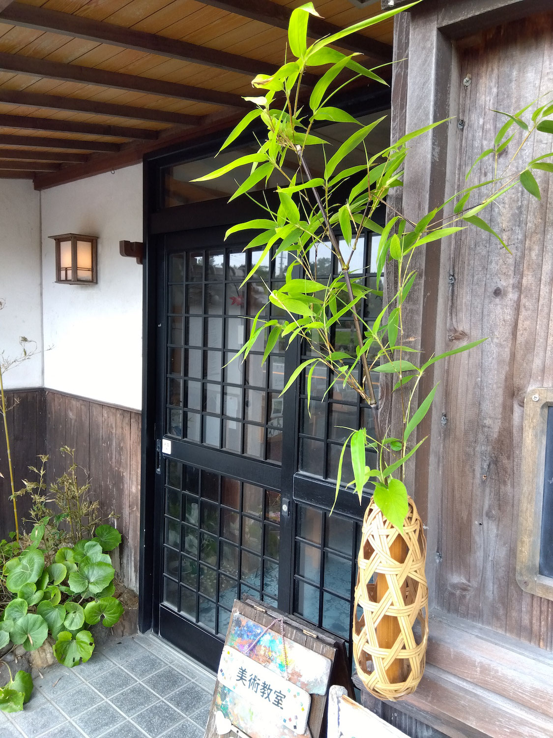 梅雨の植物たち