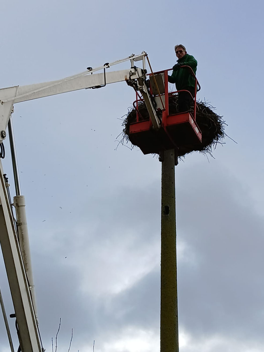 Nestsanierung in Erfde-Scheppern und Tielen