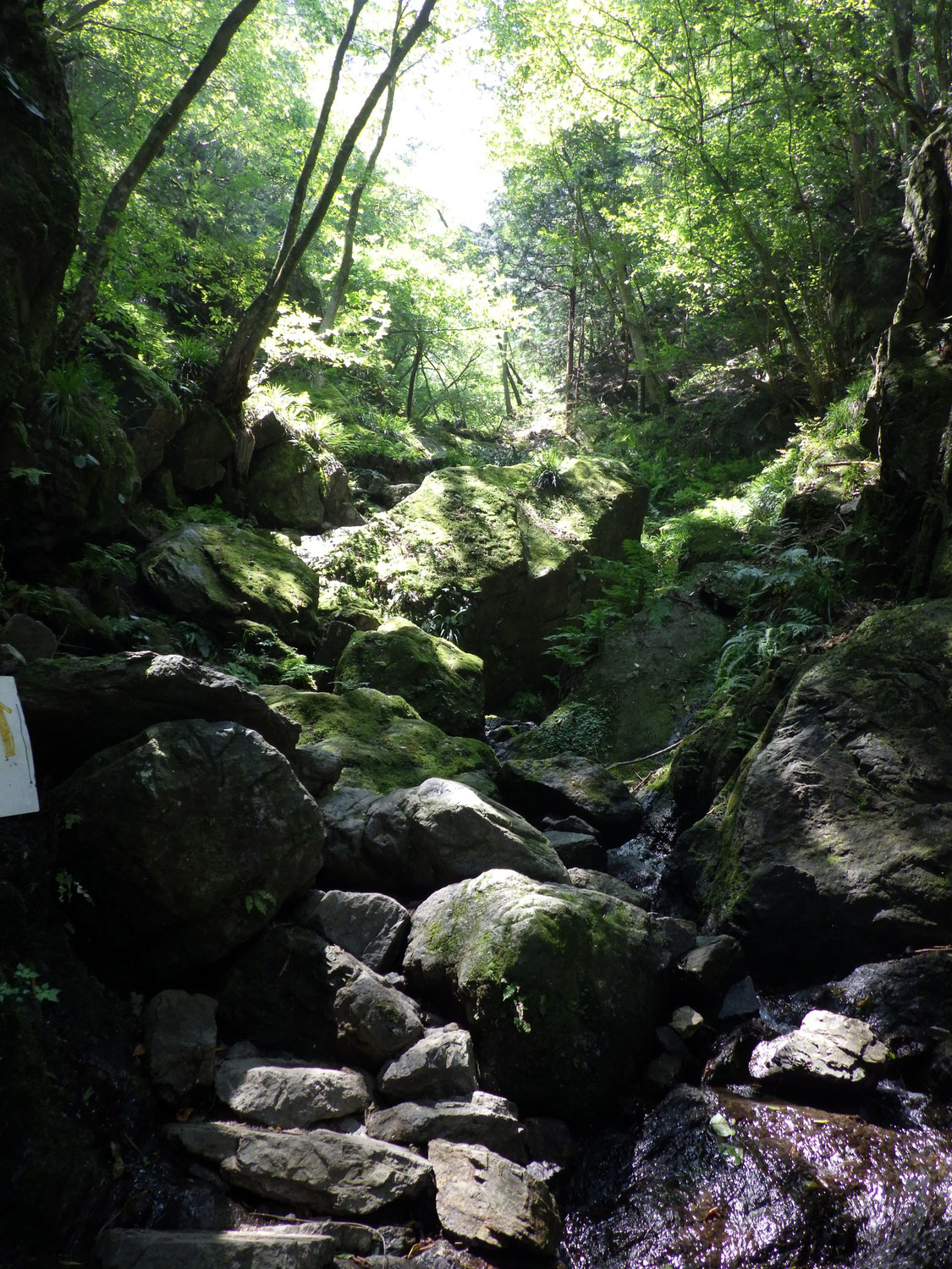埼玉・棒ノ峰は激アツだった…
