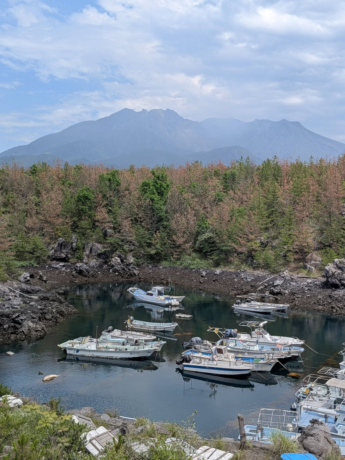 桜島へ