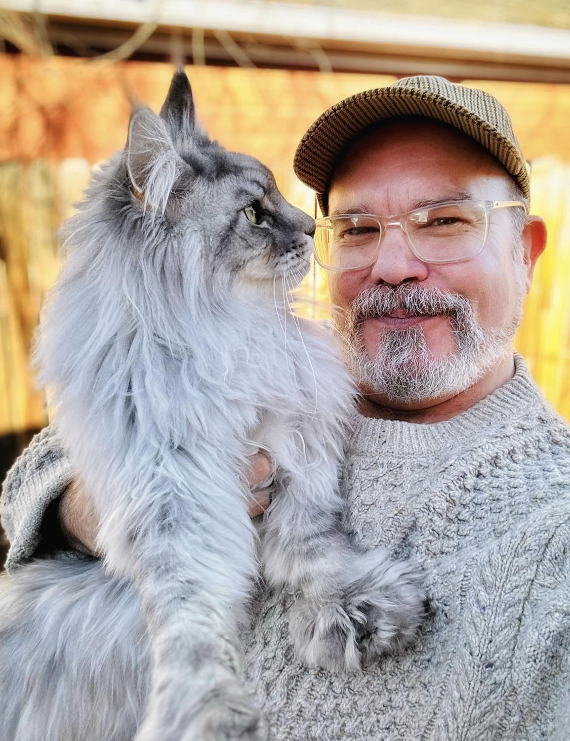 Maine Coon Cat Price: Understanding the True Value of Maine Coon Kittens for Sale in the USA