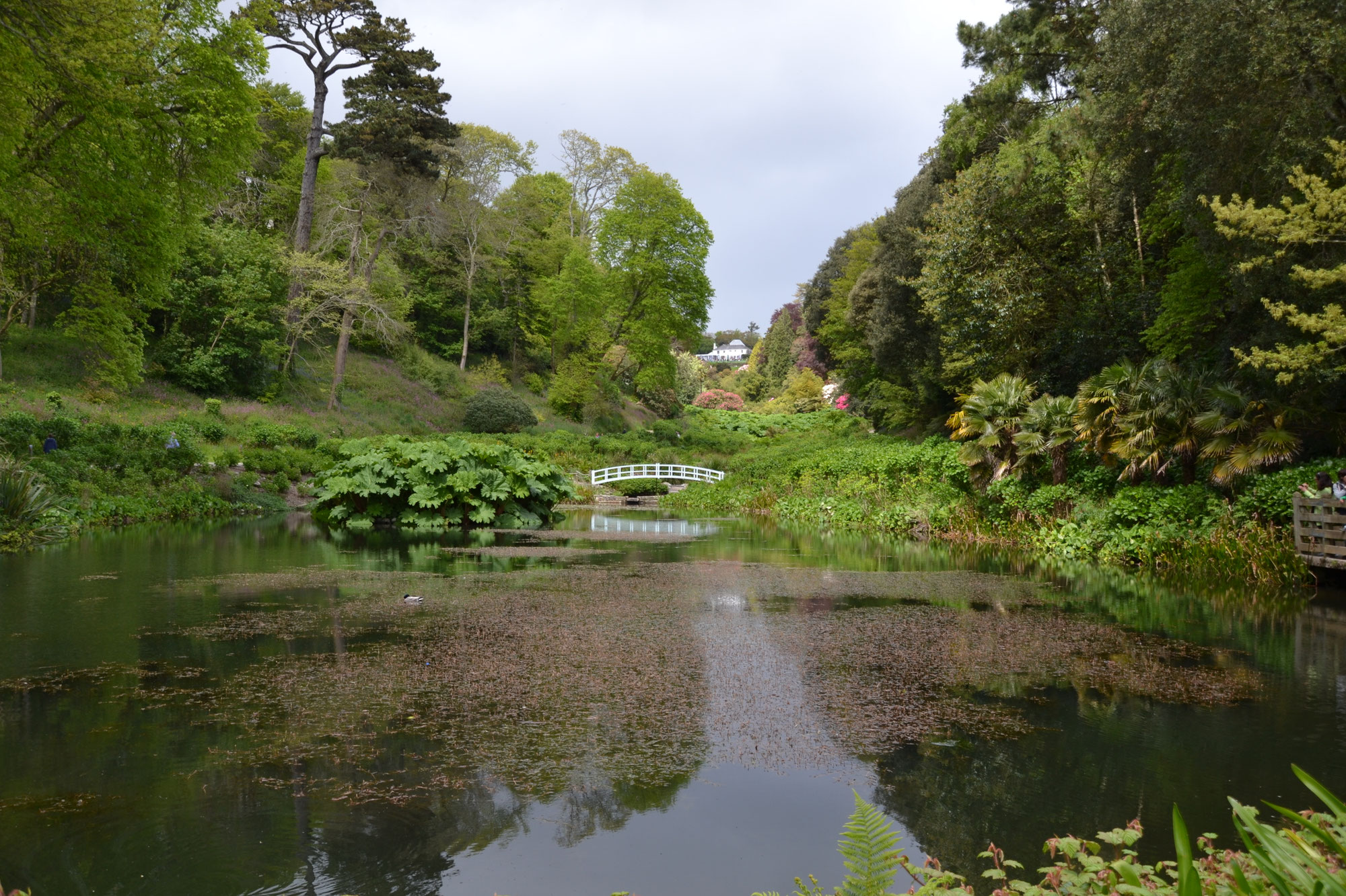 Impressum Cimiotti's Garten