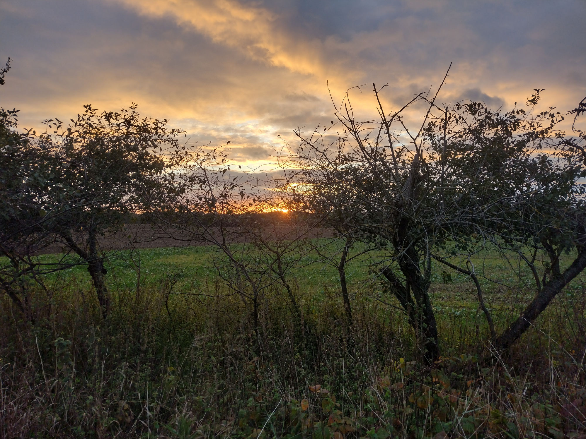 Durchwachsener Herbstabend