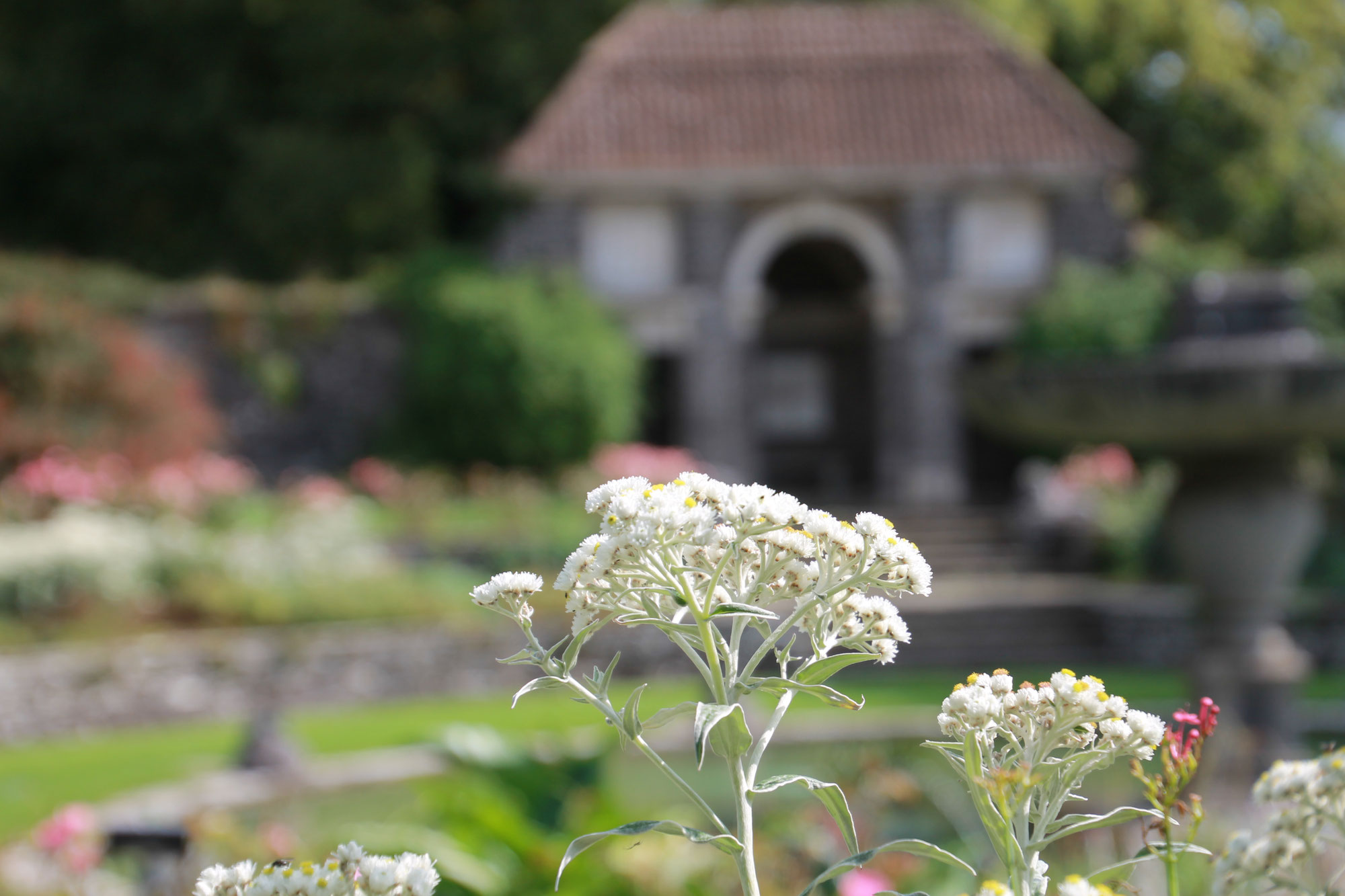 The heady romance of Heywood Gardens