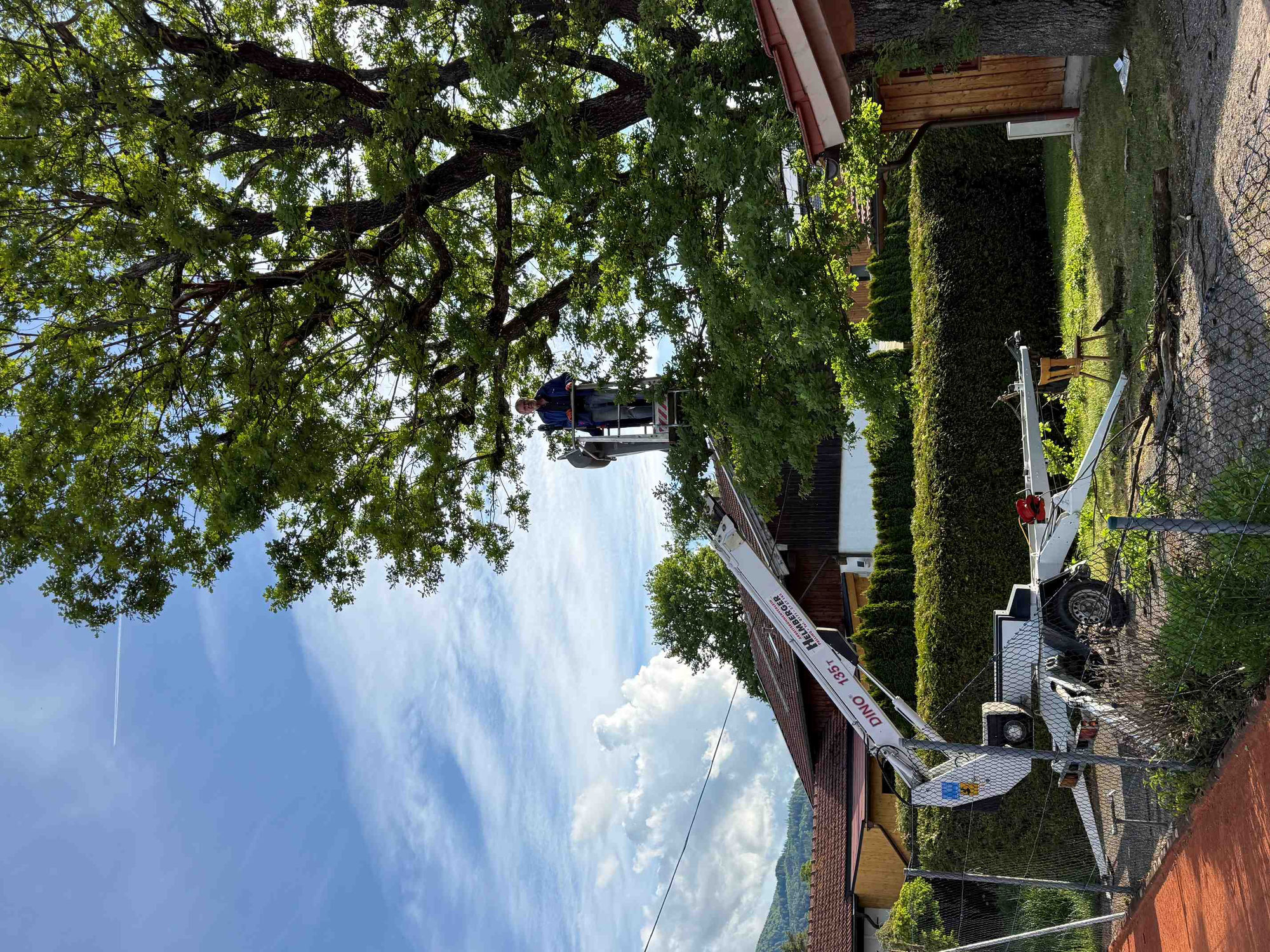 Erste Vorkehrungen für das Sommernachtsfest