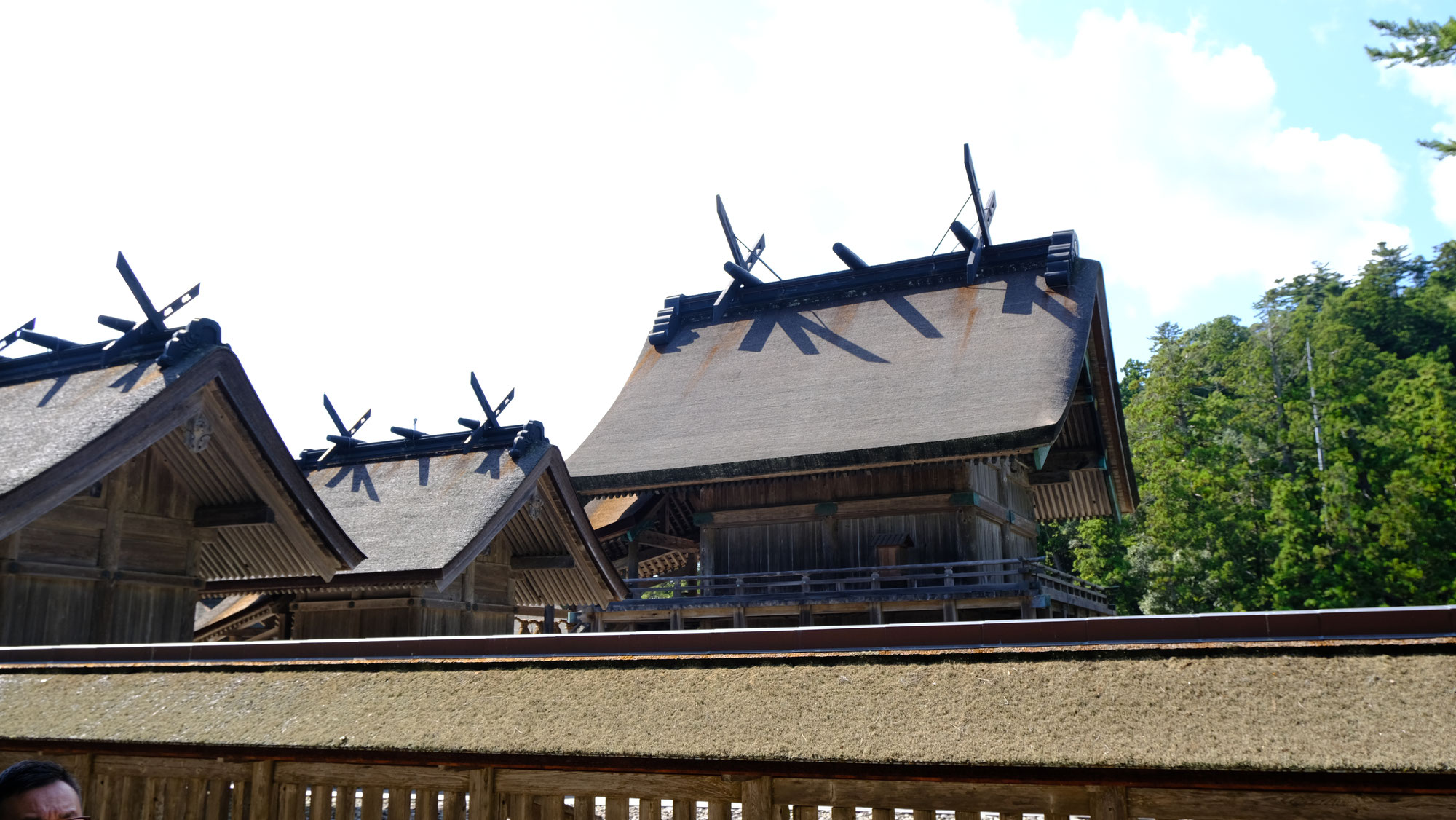 研修旅行に行ってきました【出雲】