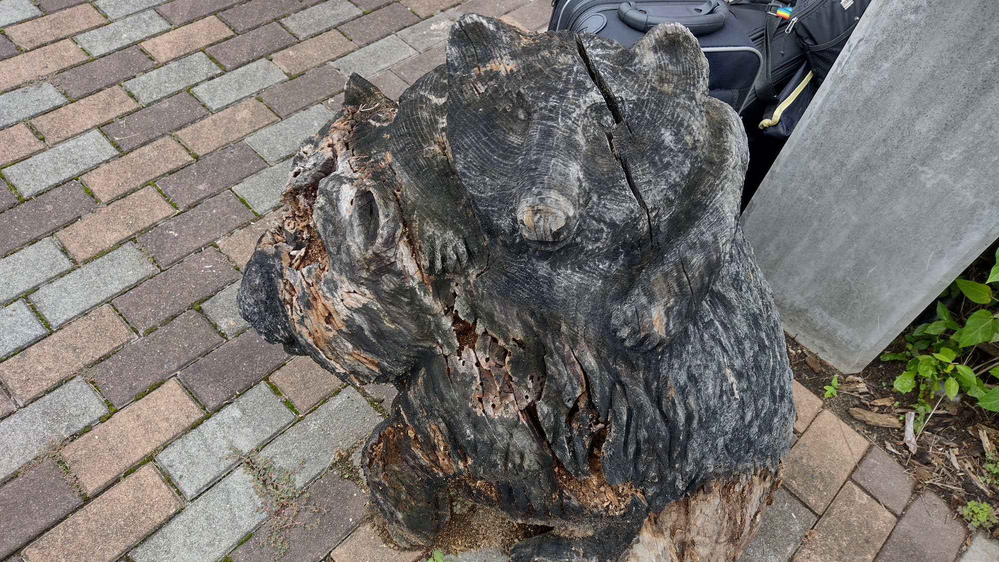 第7回東和棚田のんびりRun2025だよ～後編