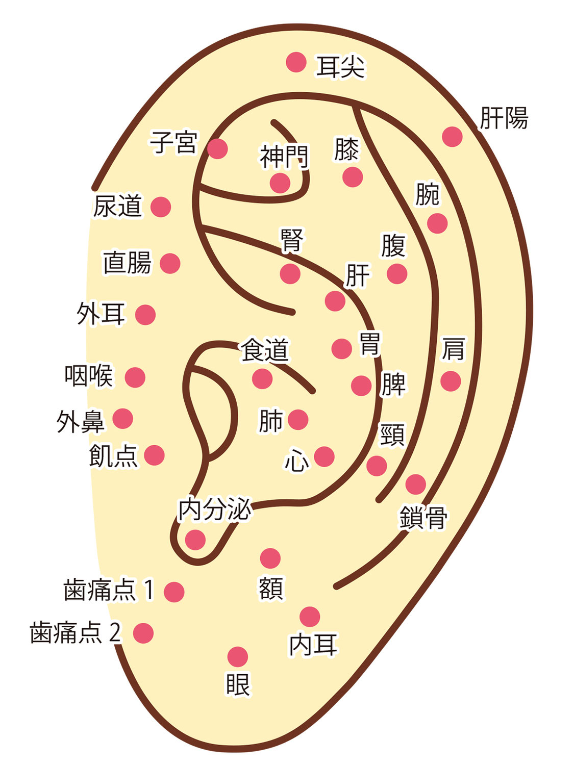 【新メニュー】耳ほぐし好評です！