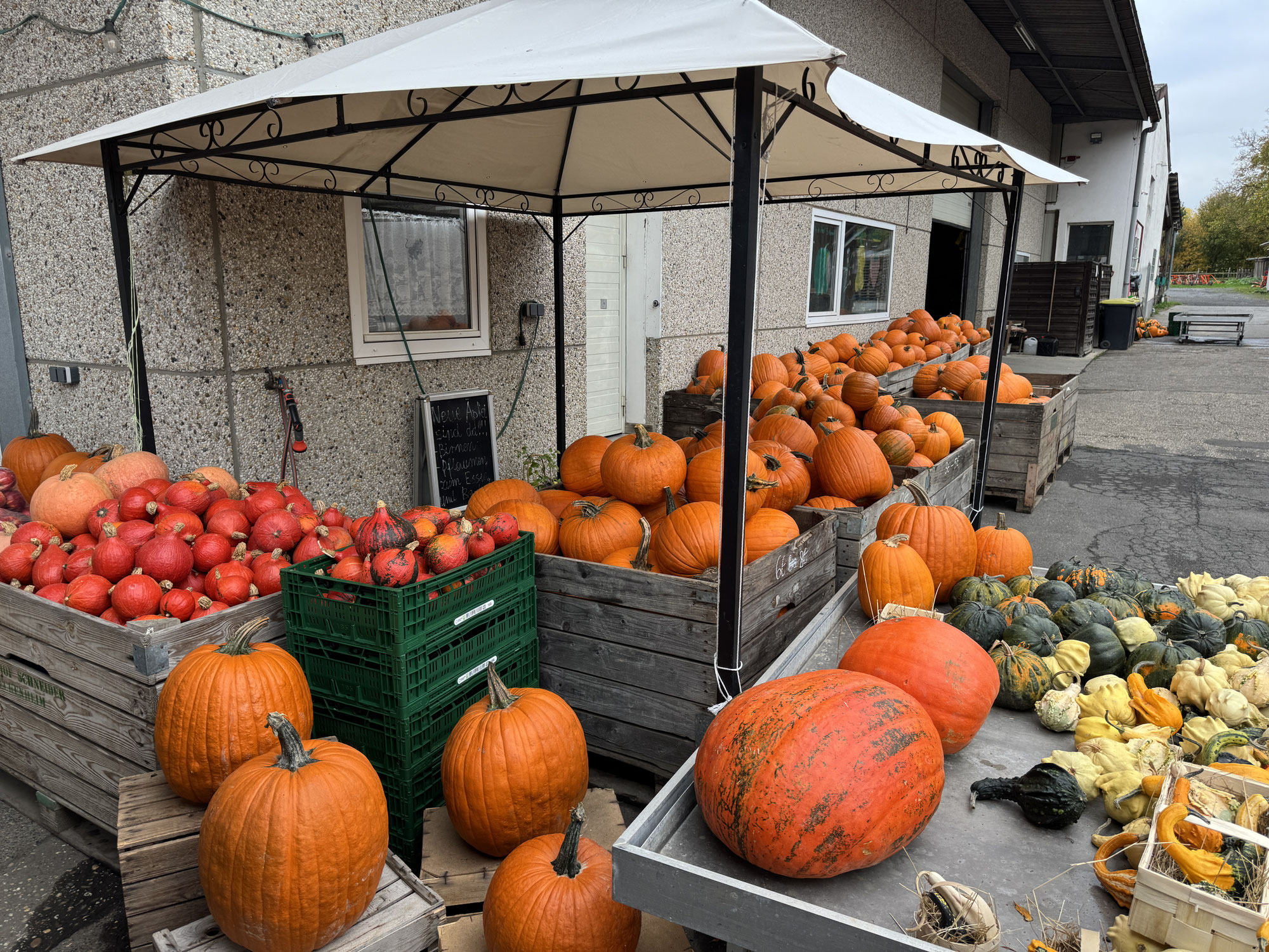 Kürbisse und vieles mehr...