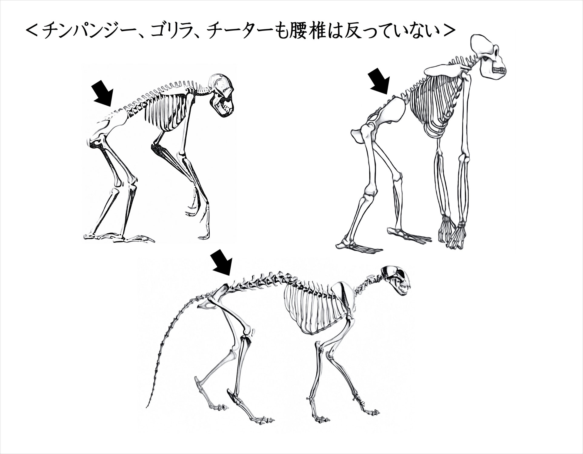 膝や股関節の調子が悪い時は