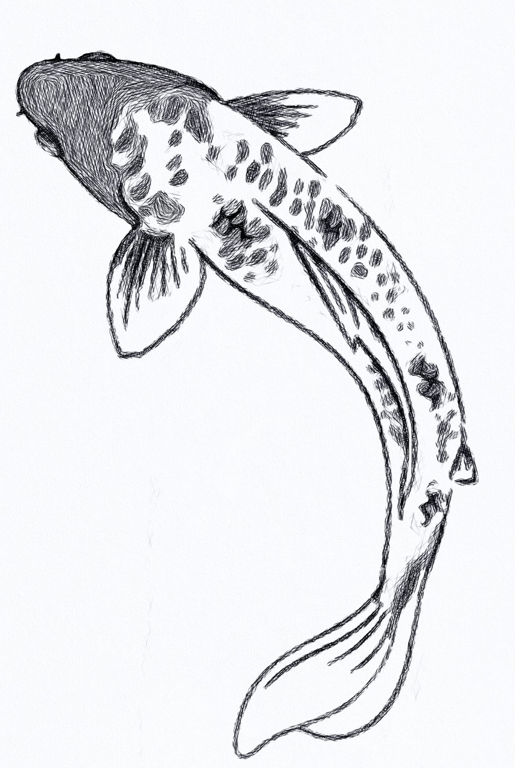 人の中に眠る魚の動き