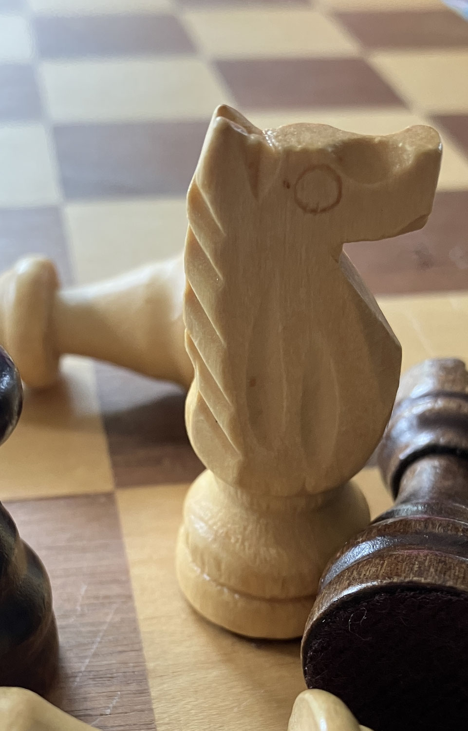 Schulschachturnier in Billerbeck