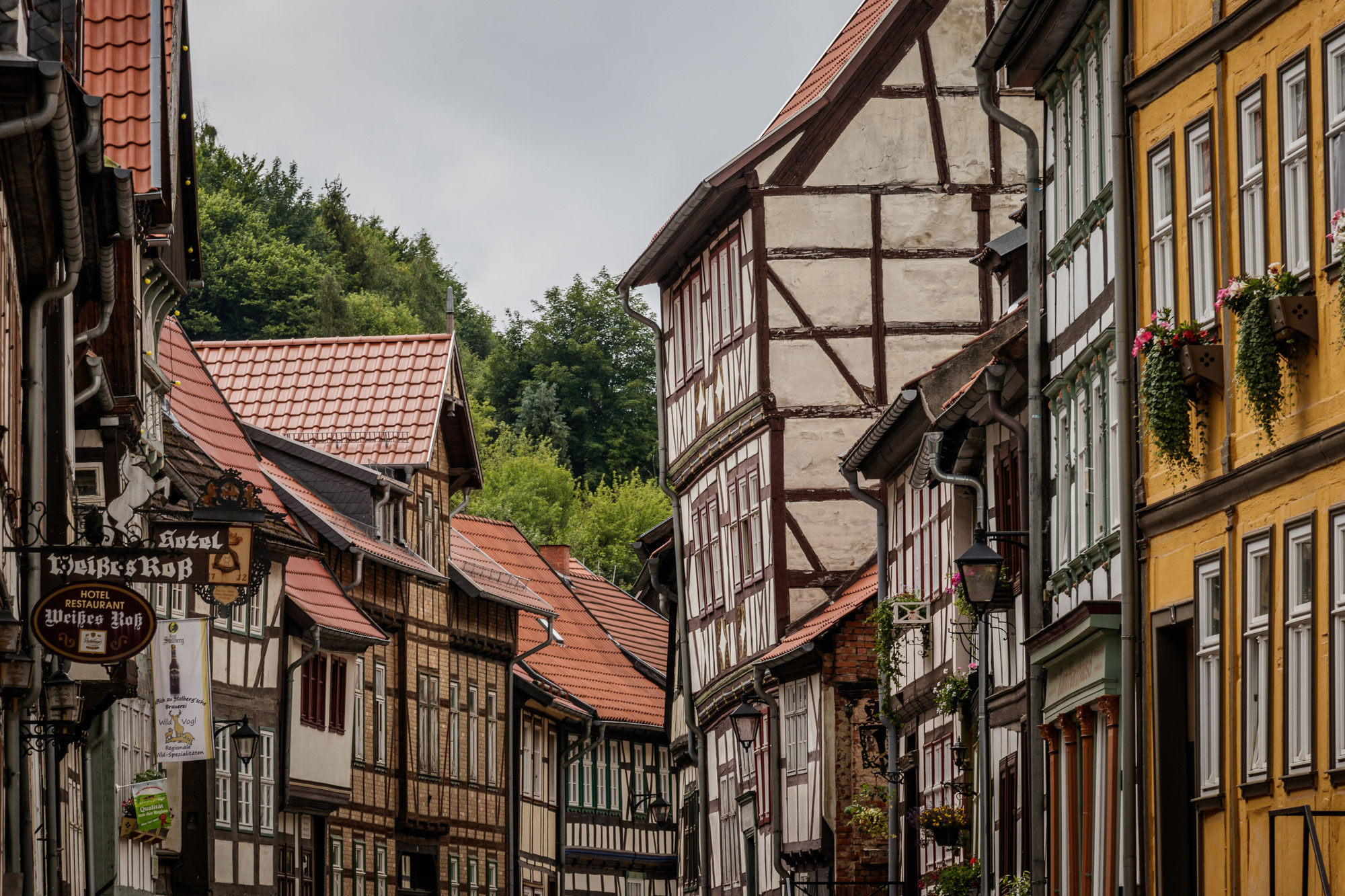 Fachwerk, Felsen und fabelhafte Ausblicke