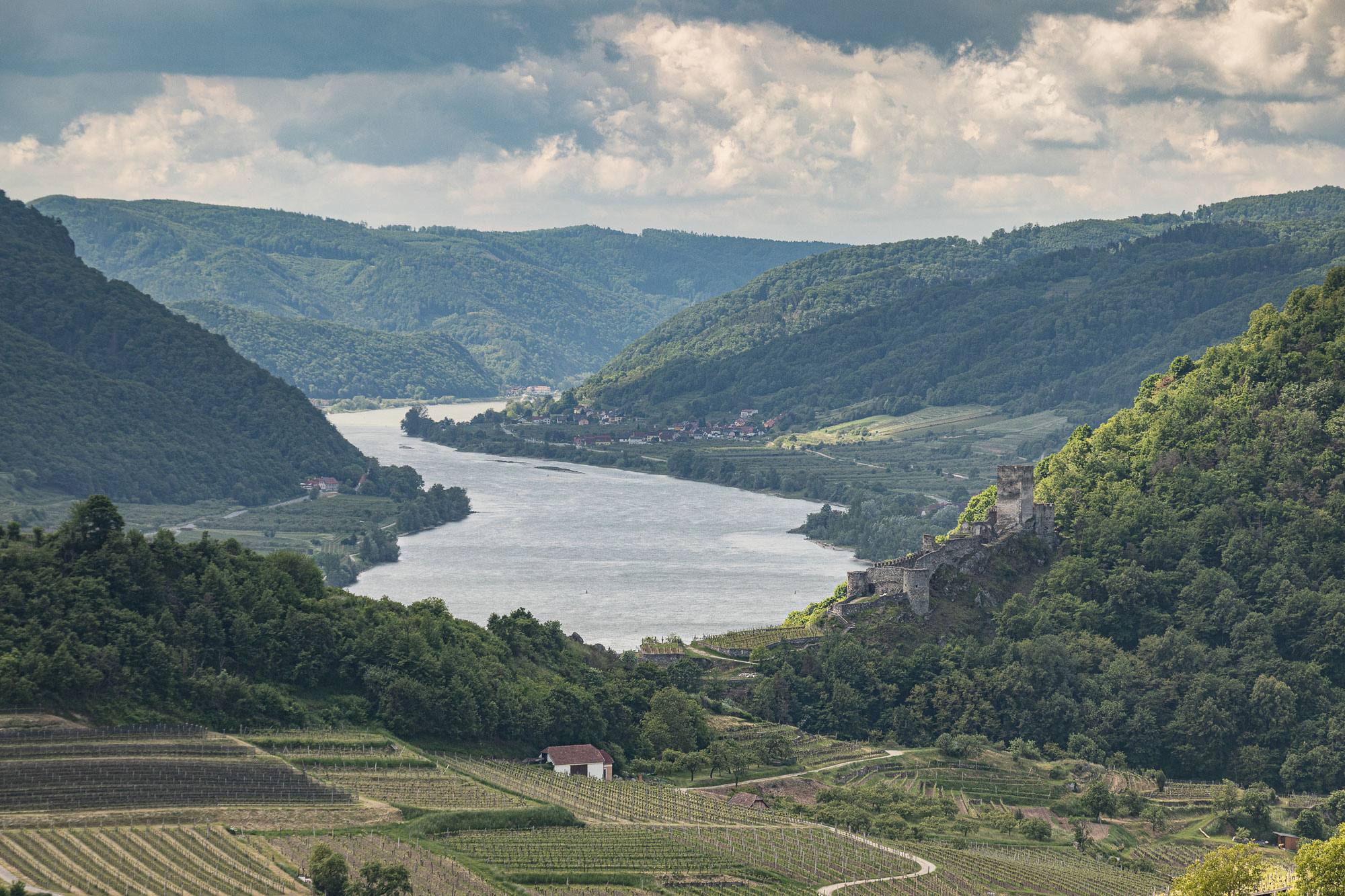 Wein und Wandern in der Wachau