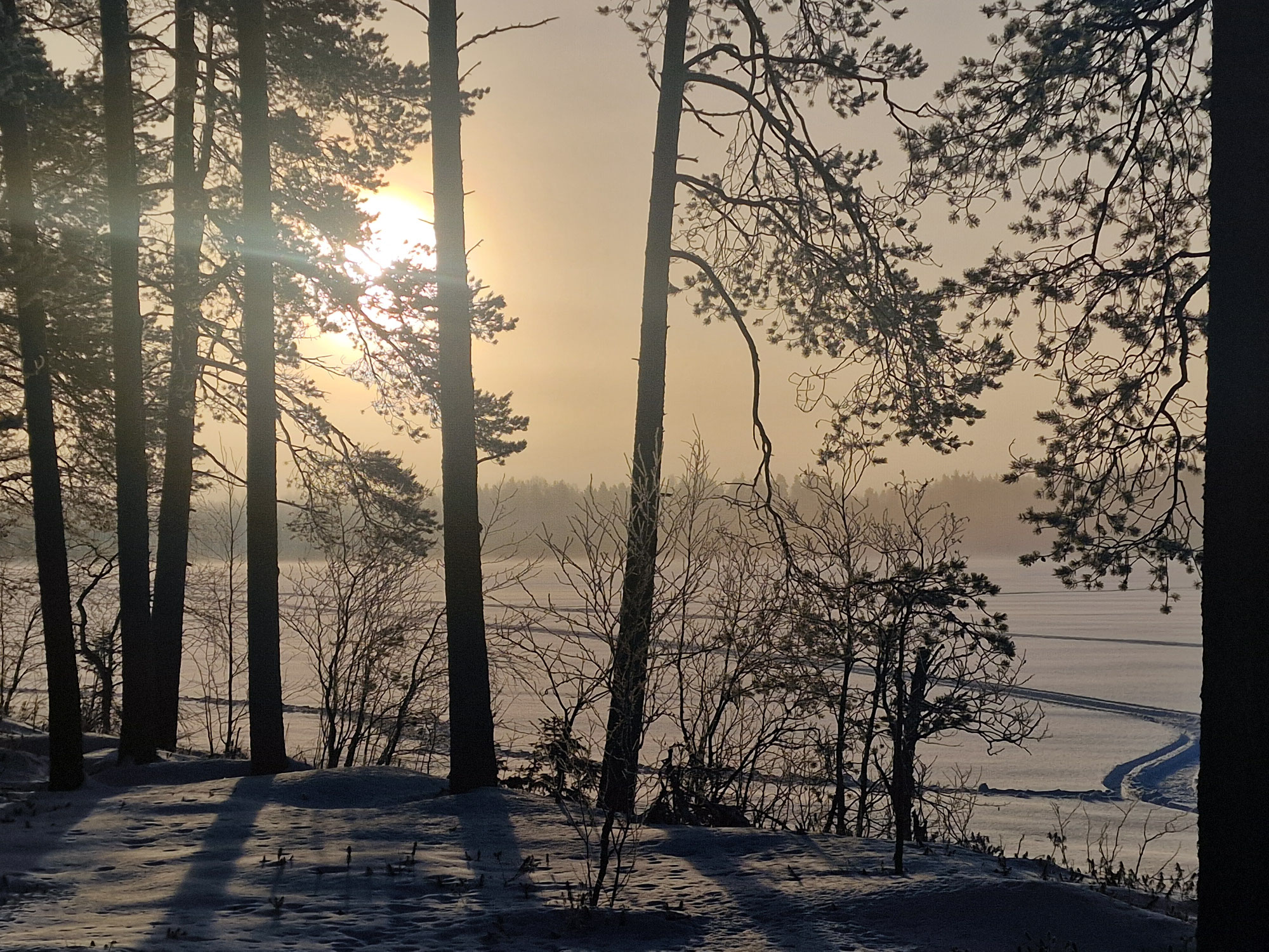 Nachhaltig reisen in Lappland: Was echter Umweltschutz im Norden bedeutet