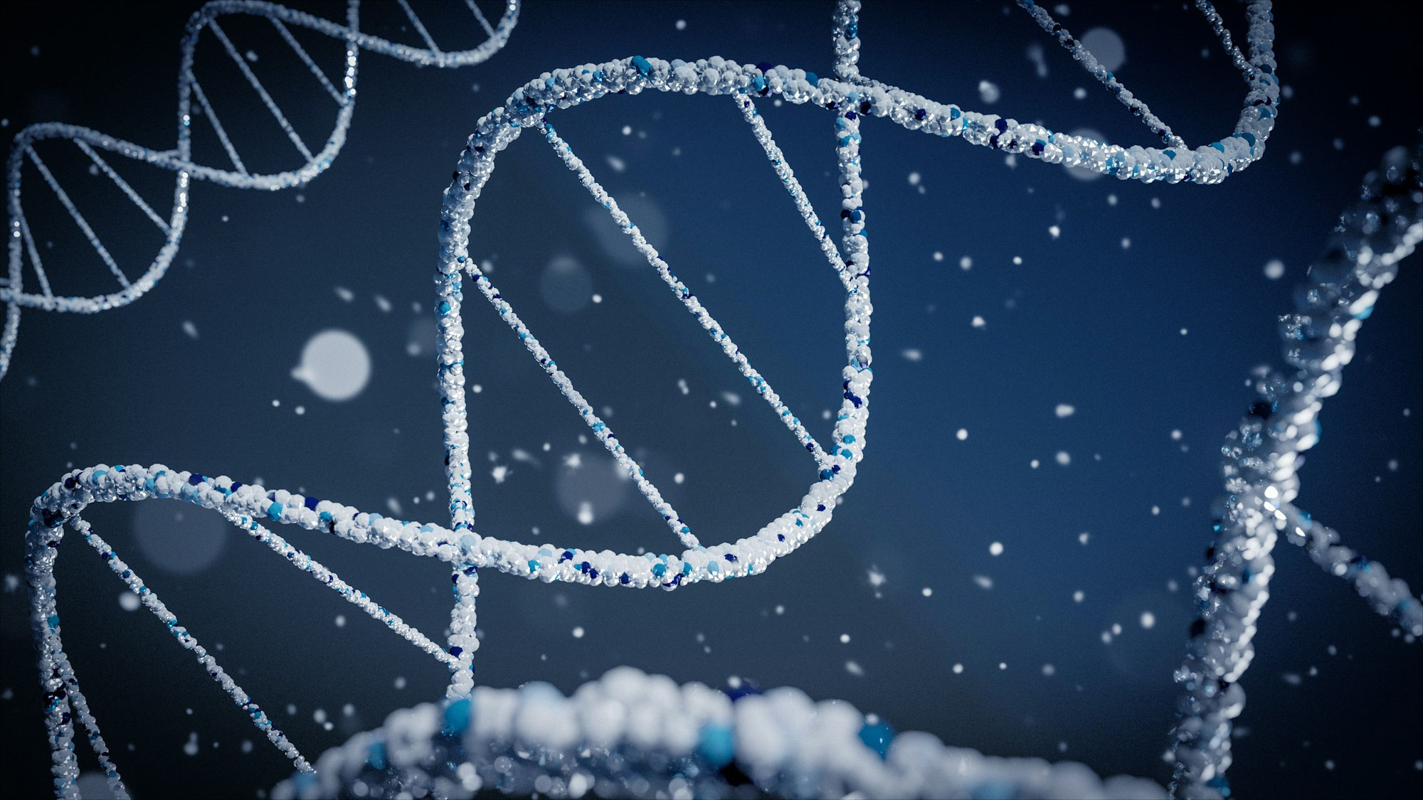 Kosmische DNA