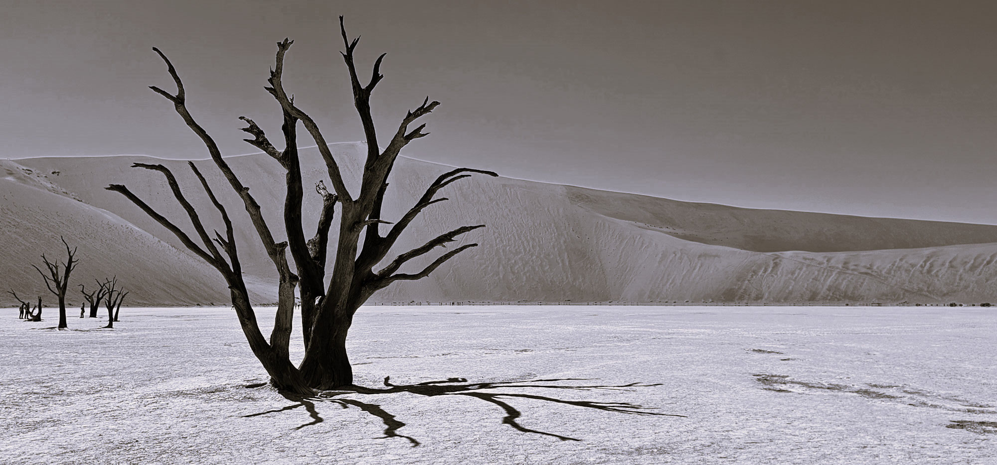 Over perfecte sterrenhemels, adembenemende landschappen en sublieme safari's
