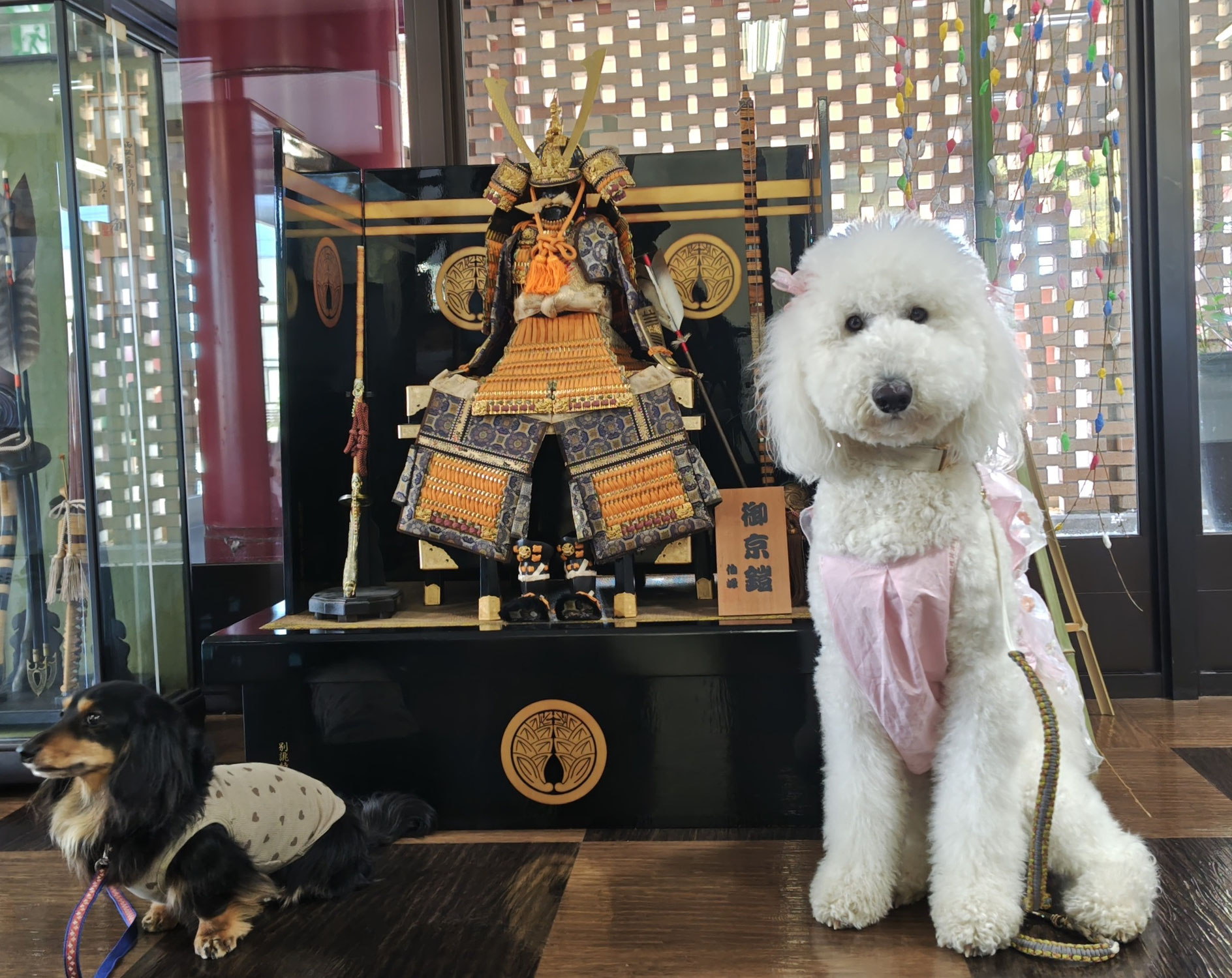 ４月８日　宝樹リノ様対面交流会