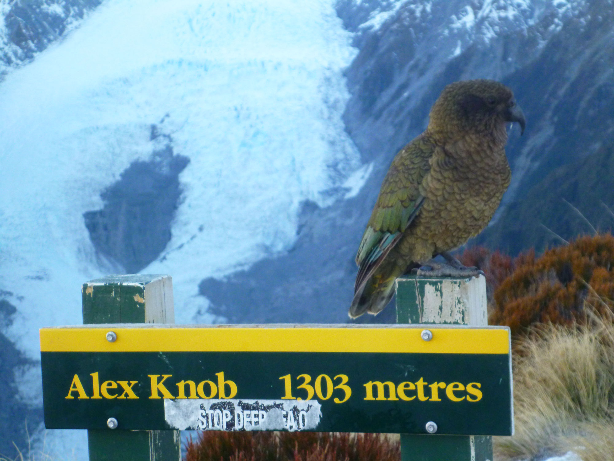 New Zealand